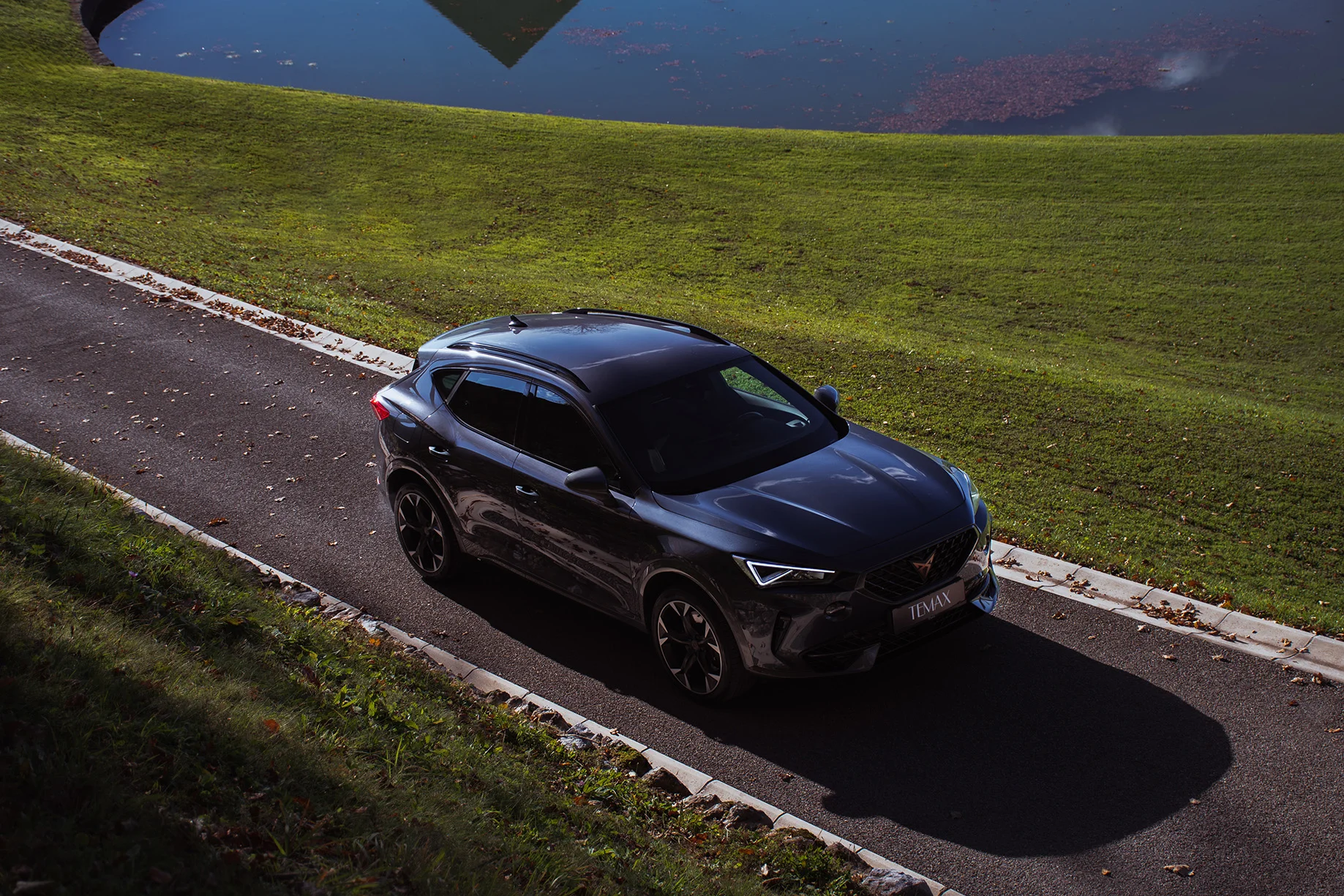 Kfz Steuer Cupra Formentor 310 Ps